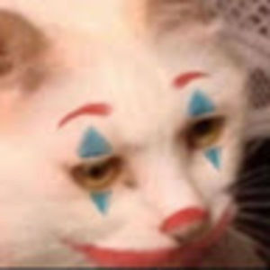 Meet your Posher, Noah